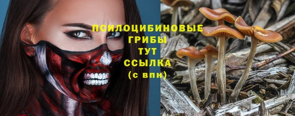 мяу мяу кристалл Аркадак